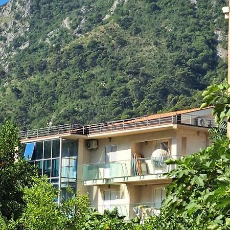 Apartments With Sea View In Prcanj Kotor Ngoại thất bức ảnh